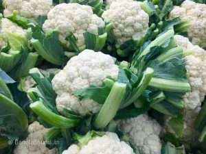Cauliflower Cultivation Methods And Important Information