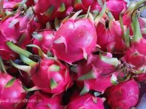 Dragon Fruit Cultivation Now in Country