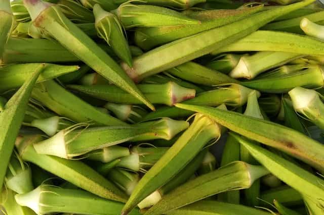 Okra Cultivation Method and Control of Diseases
