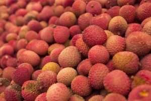 Lychee Cultivation Method in Bangla