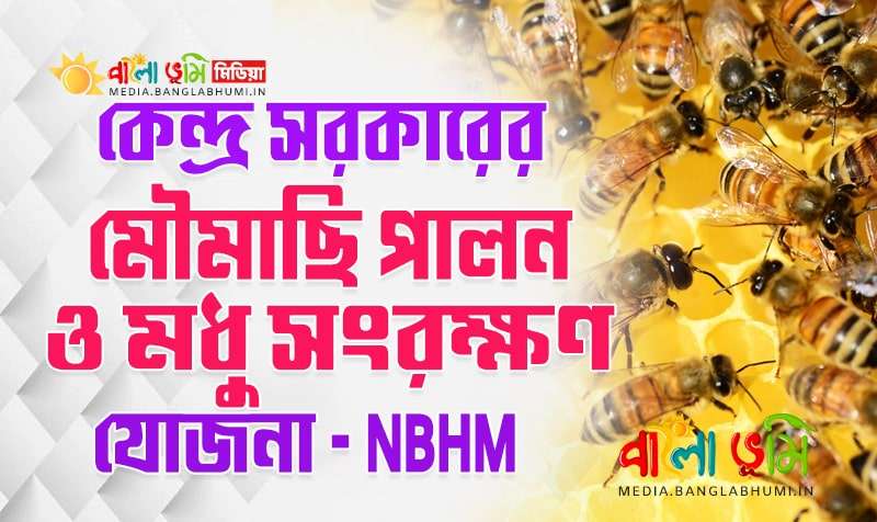 National Beekeeping & Honey Mission (NBHM) in Bangla