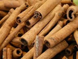 Cinnamon Cultivation Method in Bangla
