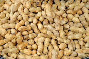 Peanuts Cultivation Method in Bangla