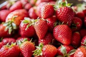 Strawberry Cultivation Method in Bangla