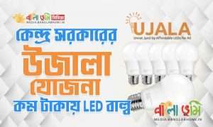 Unnat Jyoti by Affordable LEDs for All in Bangla
