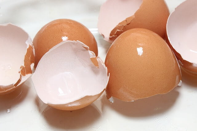 benefits of eggshells