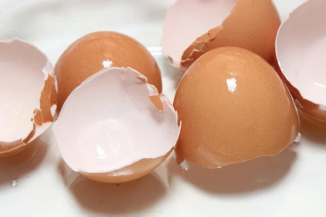 benefits of eggshells বিয়েতে উপহার দেওয়ার দুর্দান্ত আইডিয়া