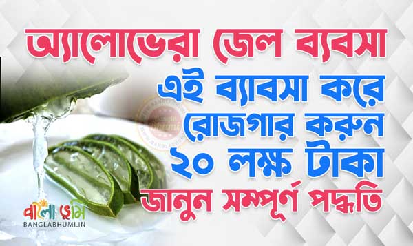 Aloe Vera Gel Manufacturing Business in Bengali