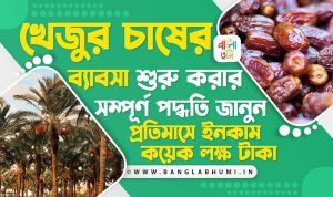 খেজুর চাষের ব্যবসা -Dates Farming Business Idea in Bengali
