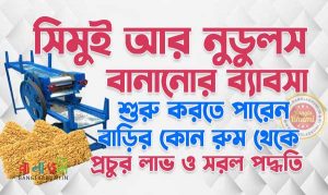 Noodles Making Business Plan in Bengali