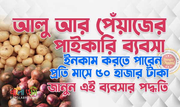 Potatoes and Onions Wholesale Business Idea in Bengali
