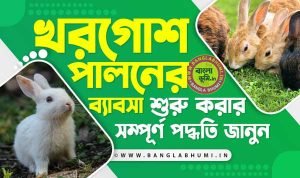 খরগোশ পালনের ব্যবসা - Rabbit Rearing Business Idea in Bengali
