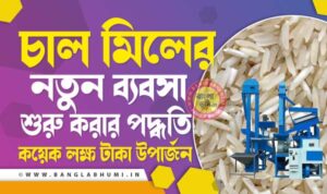 চাল মিলের ব্যবসা - Rice Mill Business Idea in Bengali
