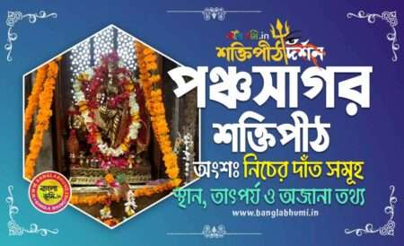 Panchsagar Shakti Peeth in Bengali - পঞ্চসাগর শক্তিপীঠ